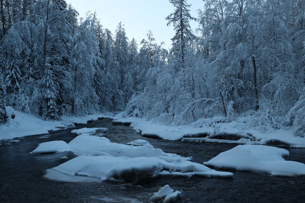Фотография автора Tatiana Svistulina