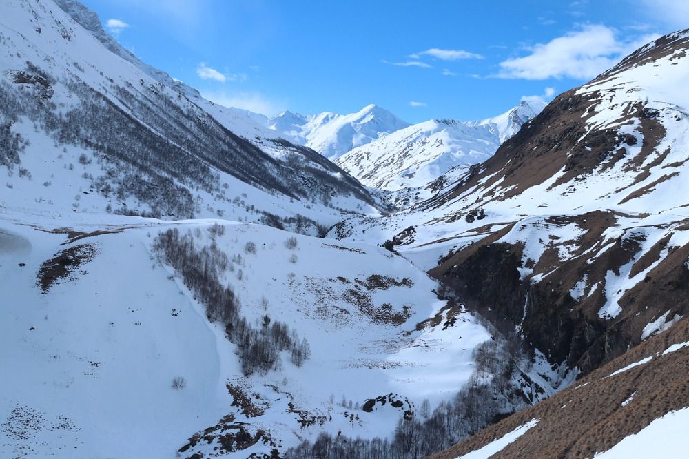 Фотография автора Tatiana Svistulina