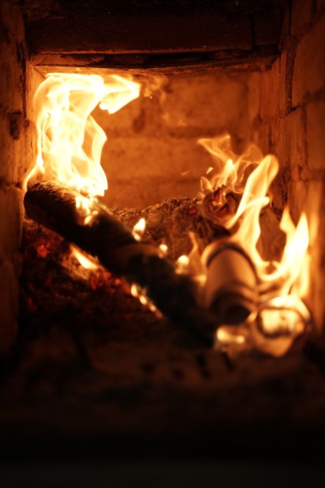 Фотография автора Василиса Новикова