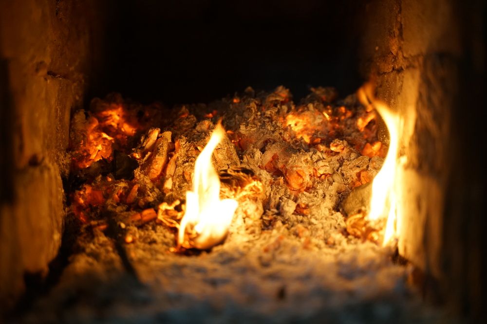 Фотография автора Василиса Новикова