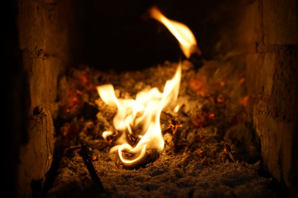 Фотография автора Василиса Новикова