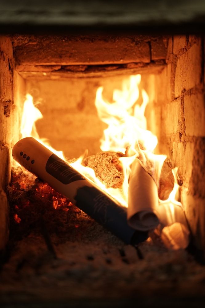 Фотография автора Василиса Новикова