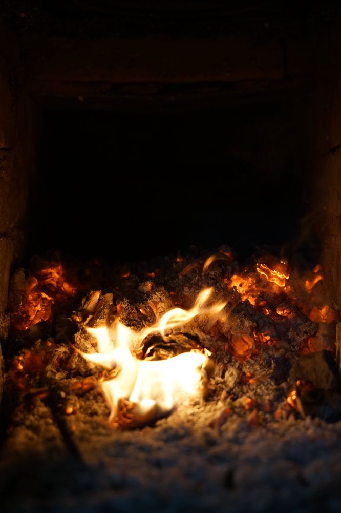 Фотография автора Василиса Новикова