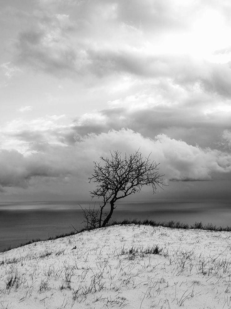 Photograph by Георгий Павлов