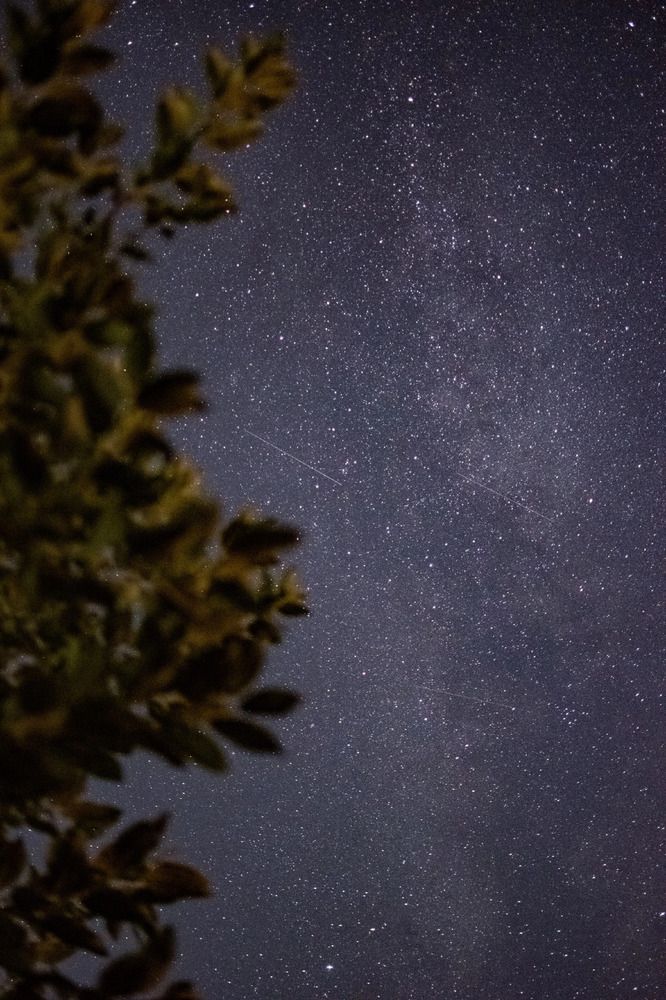 Photograph by Владимир Логвинов