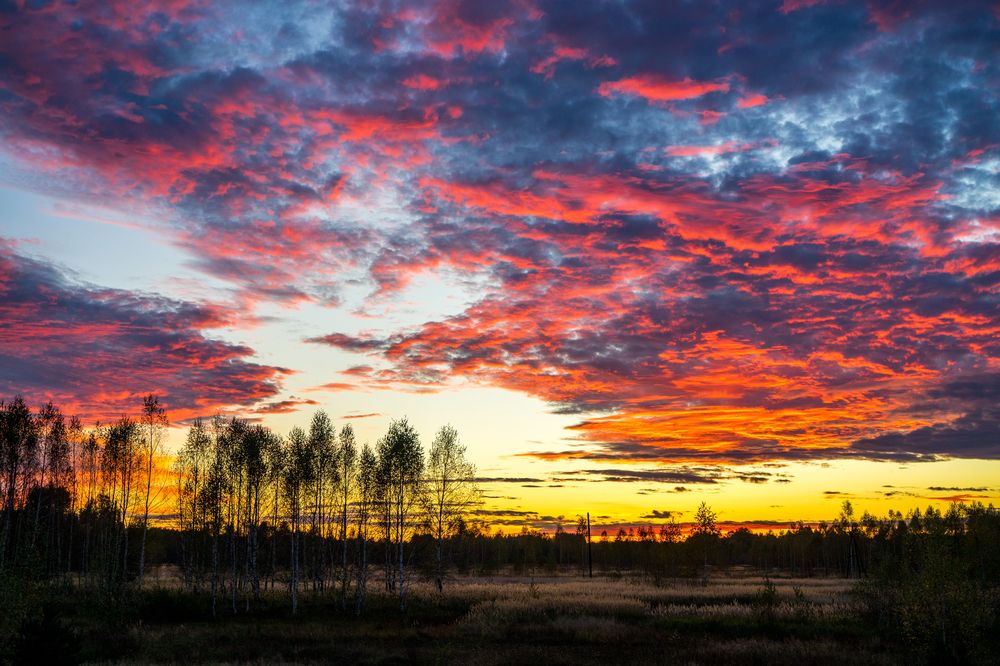 Фотография автора Василиса Новикова
