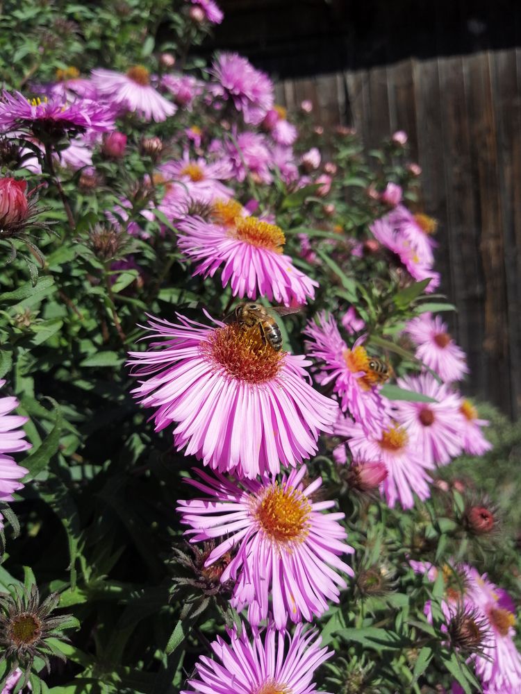 Photograph by Серафима Футлярова