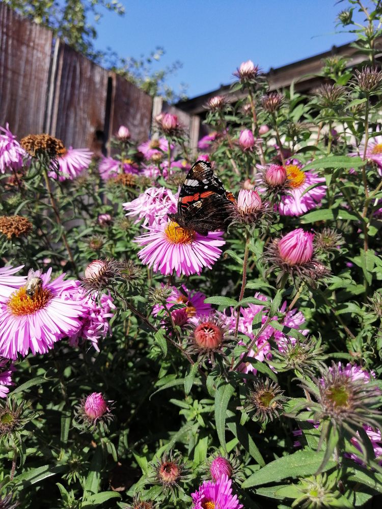 Photograph by Серафима Футлярова