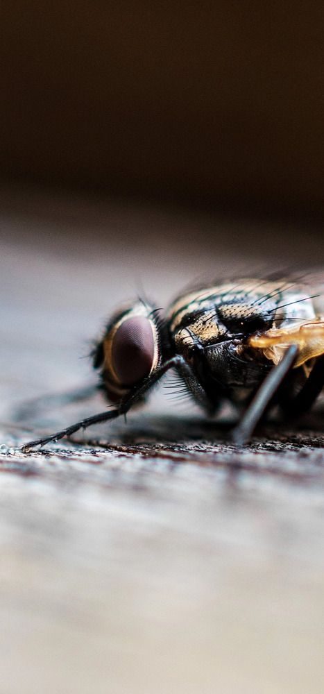 Photograph by Владимир Логвинов