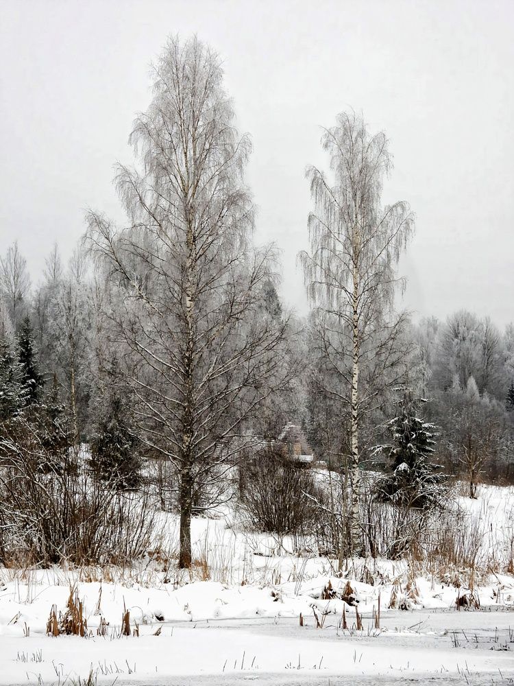 Photograph by Александр Шаварин