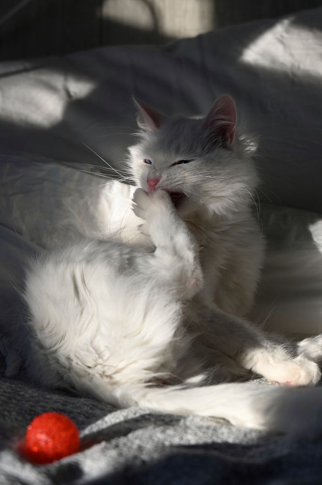 Photograph by Анна Зернова