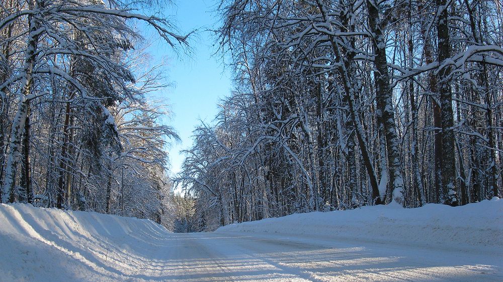 Зимняя дорога