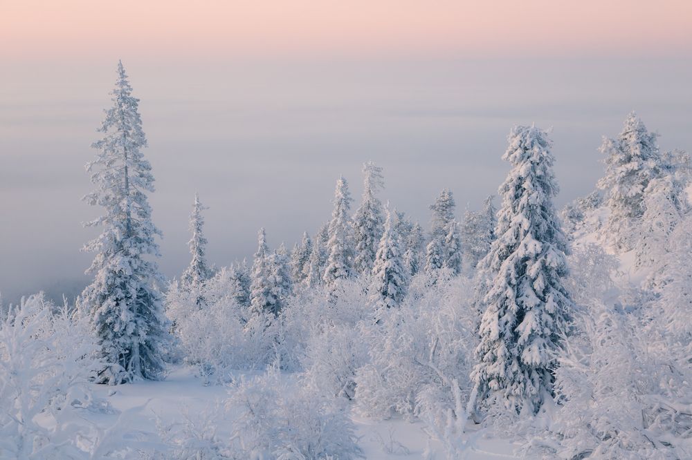 Photograph by Андрей Белавин