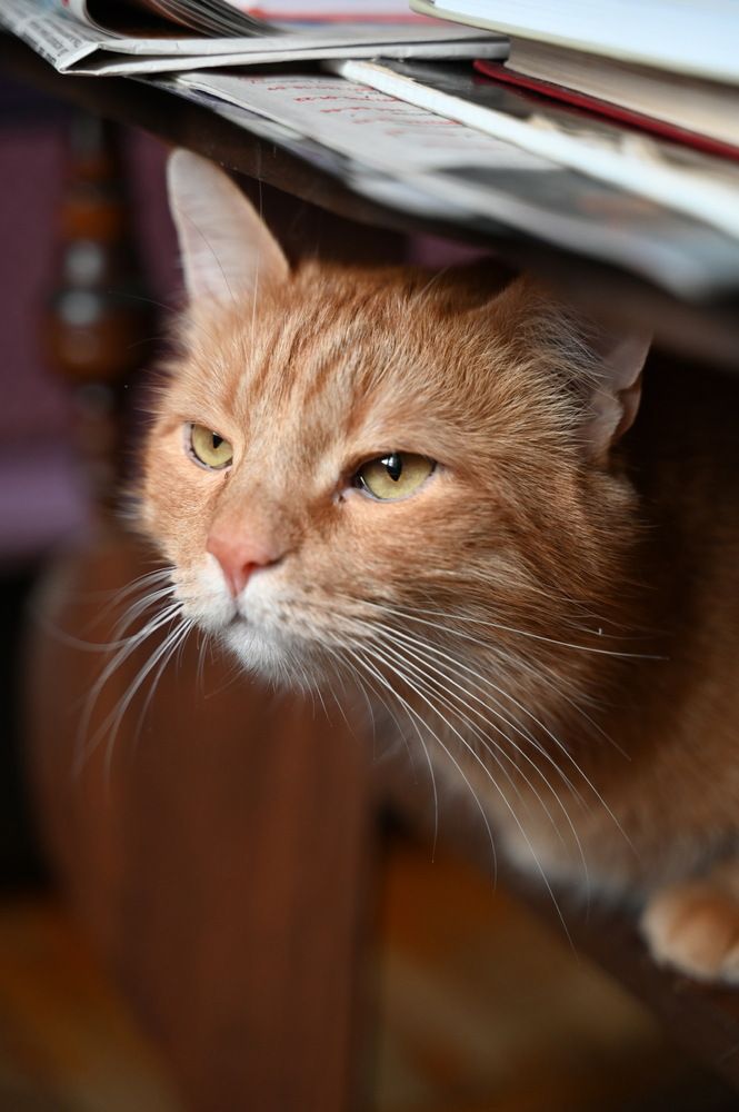 Photograph by Анна Зернова