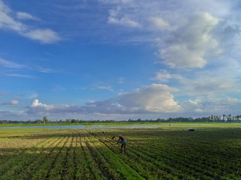 Фотография автора Ratul MD.