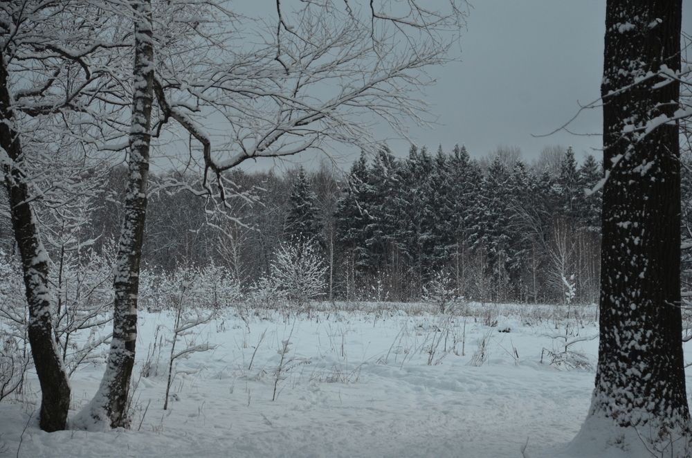 Photograph by Лина Лимарева