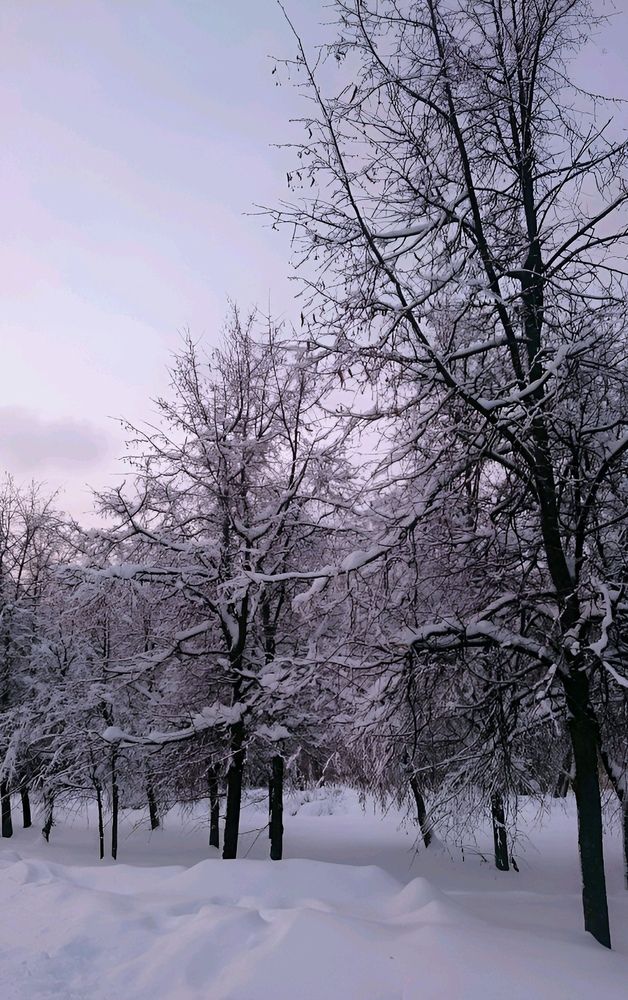 Photograph by Юлия Холомцева