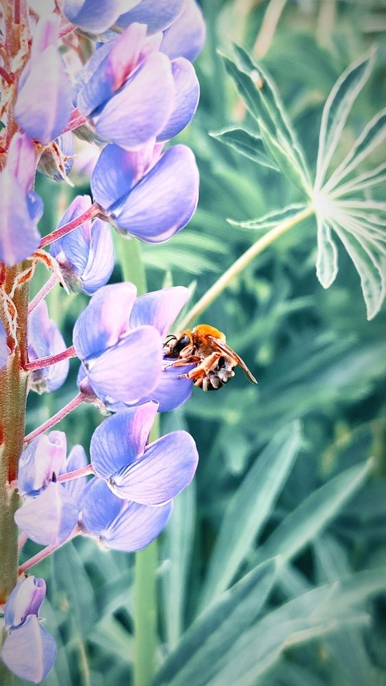 Фотография автора Aamoda Kitchen