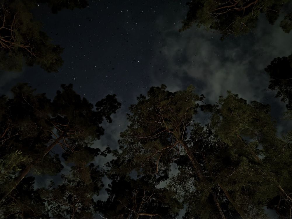 Photograph by Roman Kalinichev