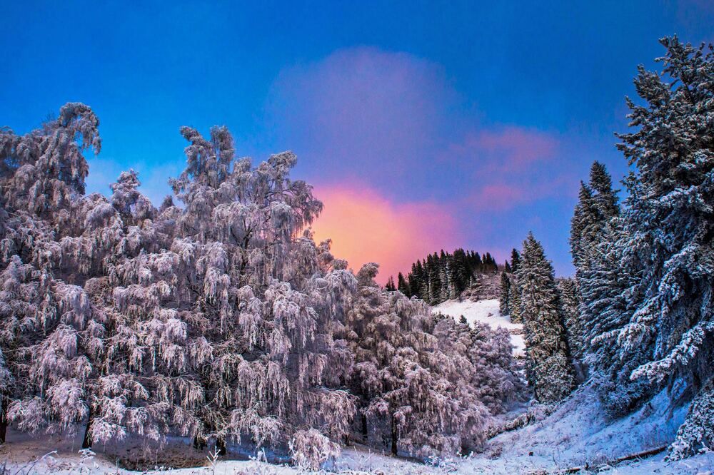 Photograph by Айсултан Каражигитов