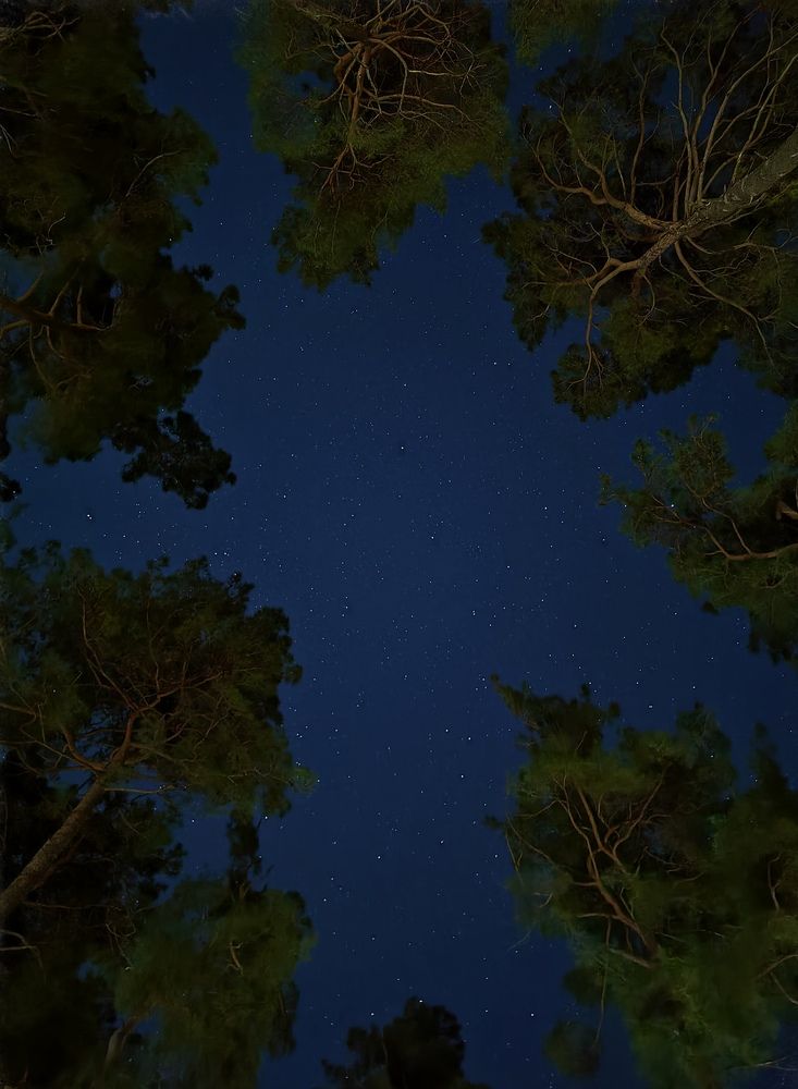 Photograph by Roman Kalinichev