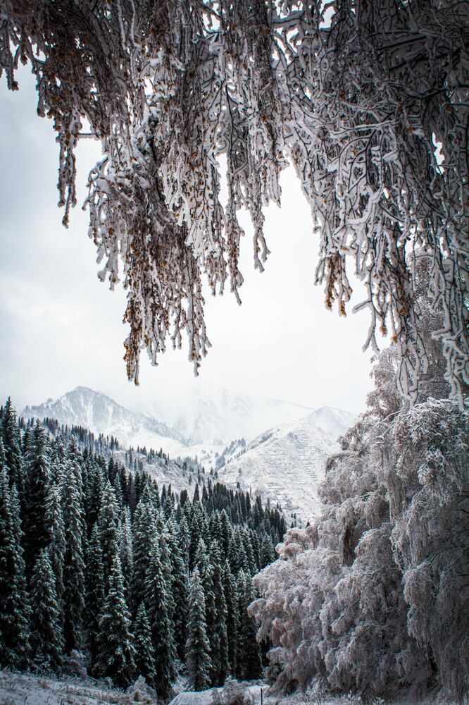 Photograph by Айсултан Каражигитов