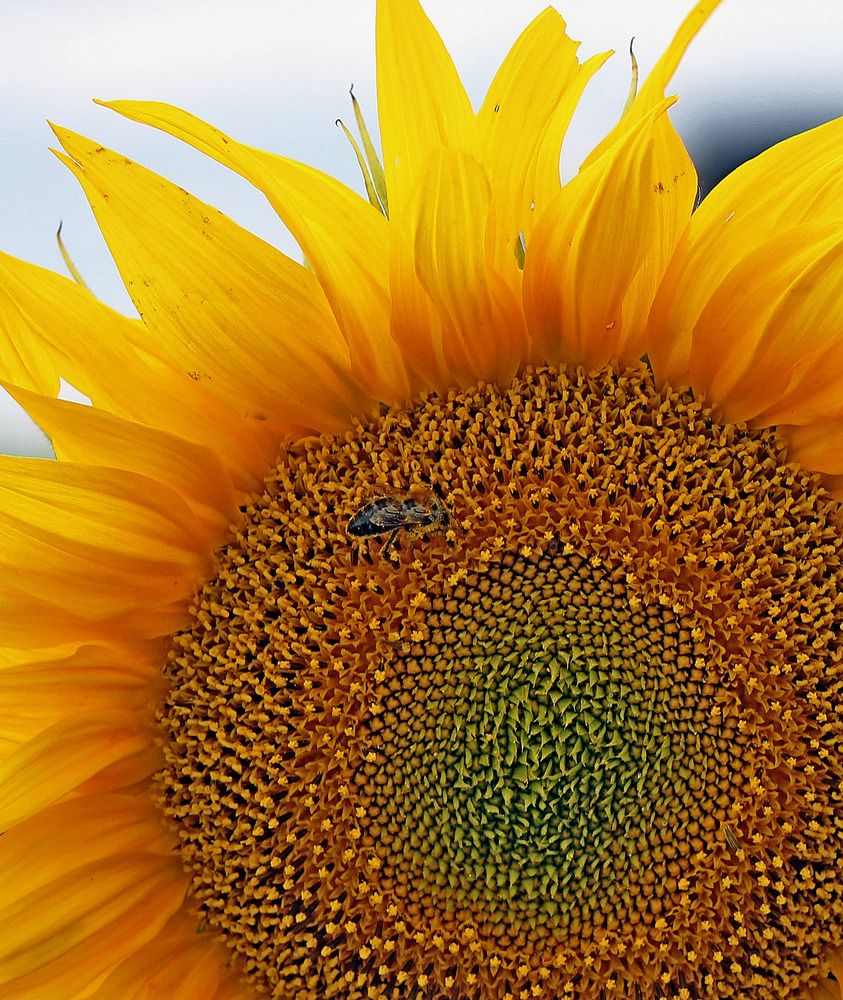 Photograph by Александр Бугаенко