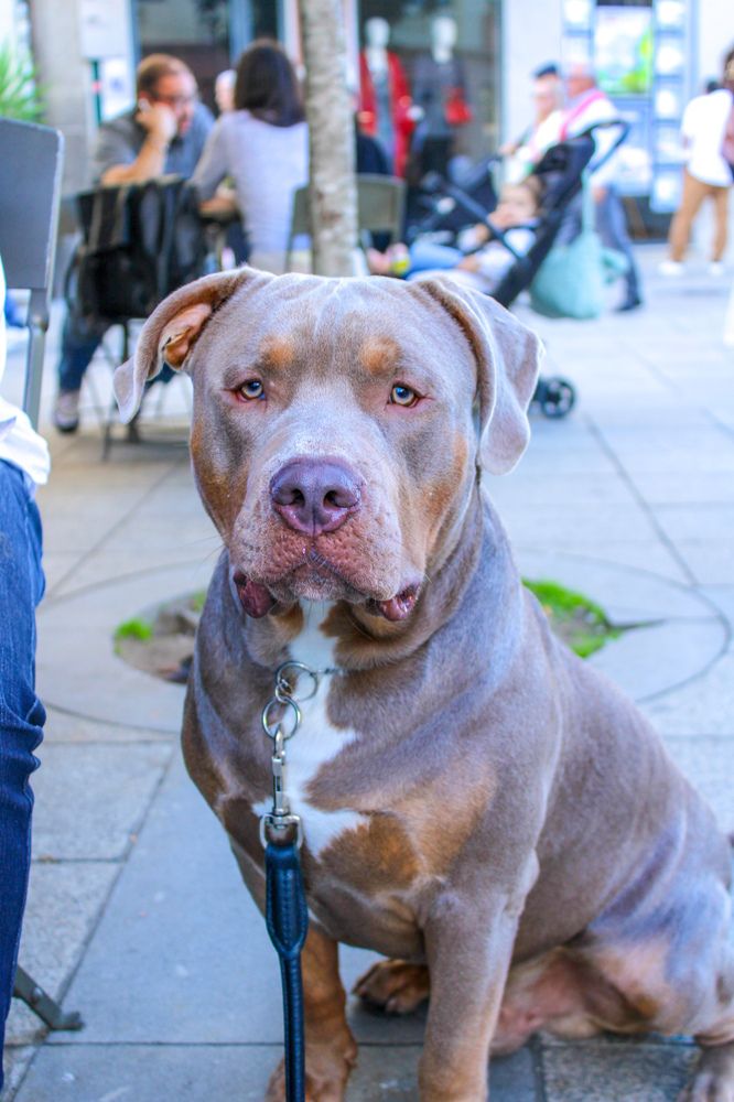 Photograph by Mónica Judá Ramires