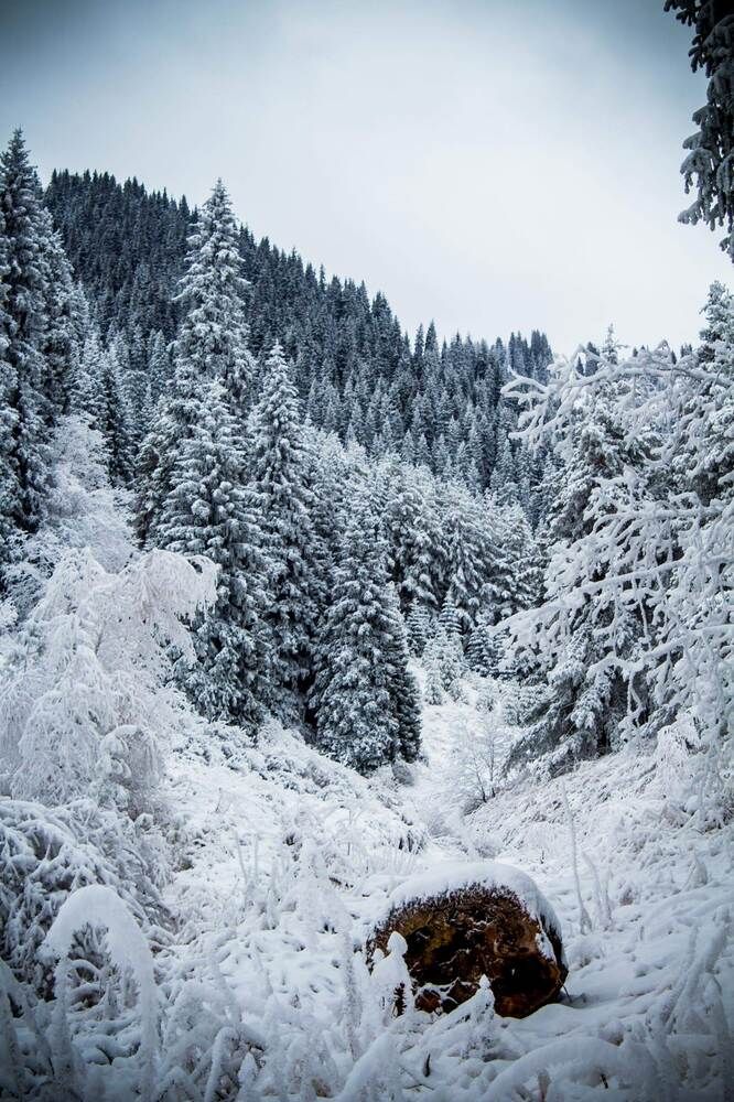 Photograph by Айсултан Каражигитов