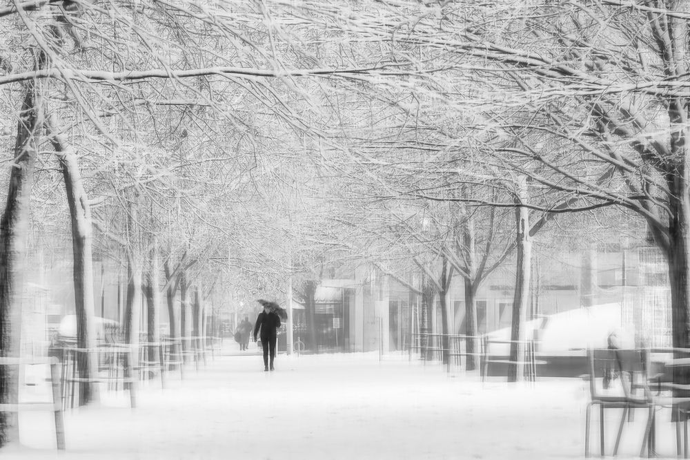 Photograph by Zhenhuan Zhou