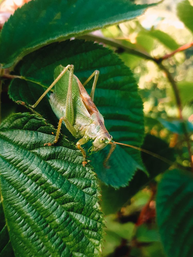 Photograph by Алиса Чугунова