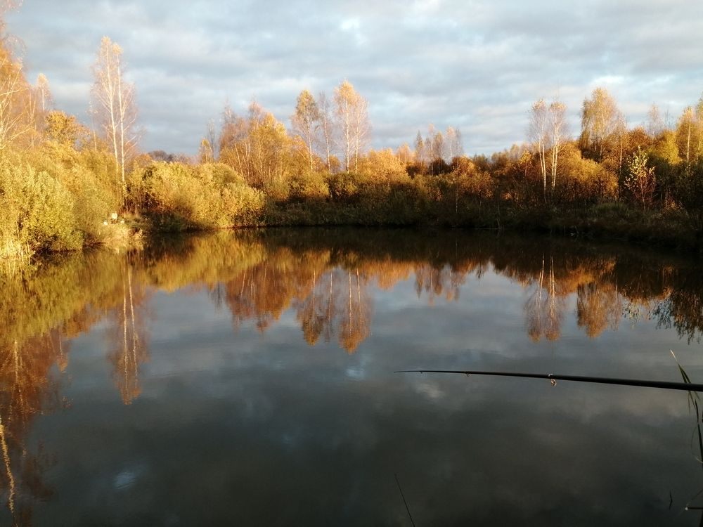 Фотография автора Кузьмичева Екатерина Васильевна