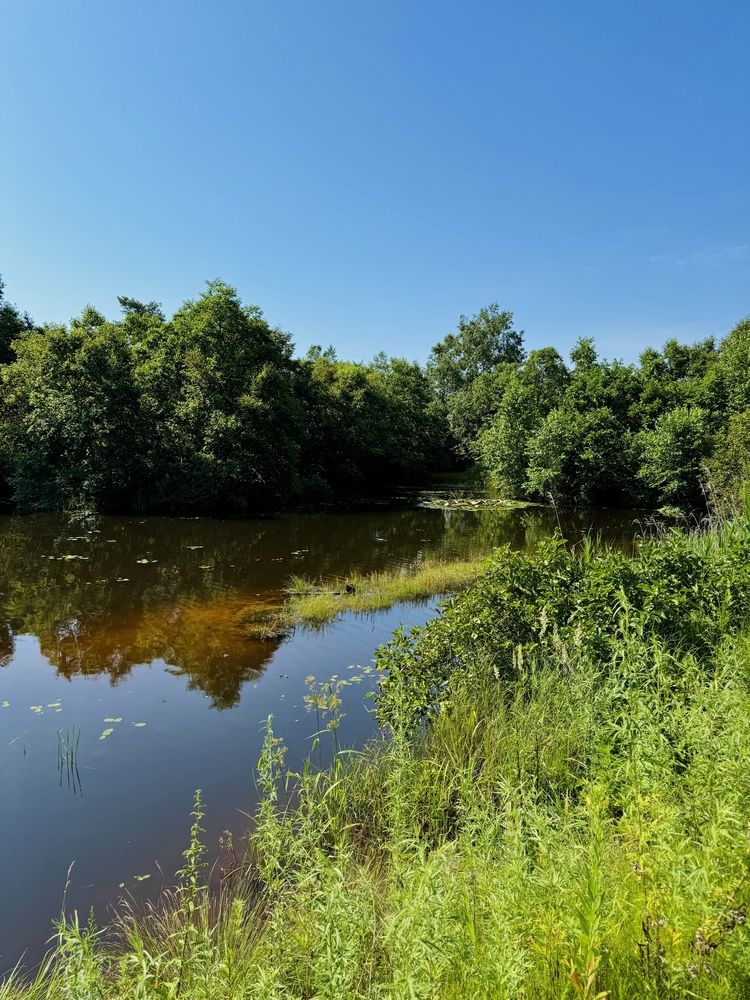 Photograph by Любовь Космачева