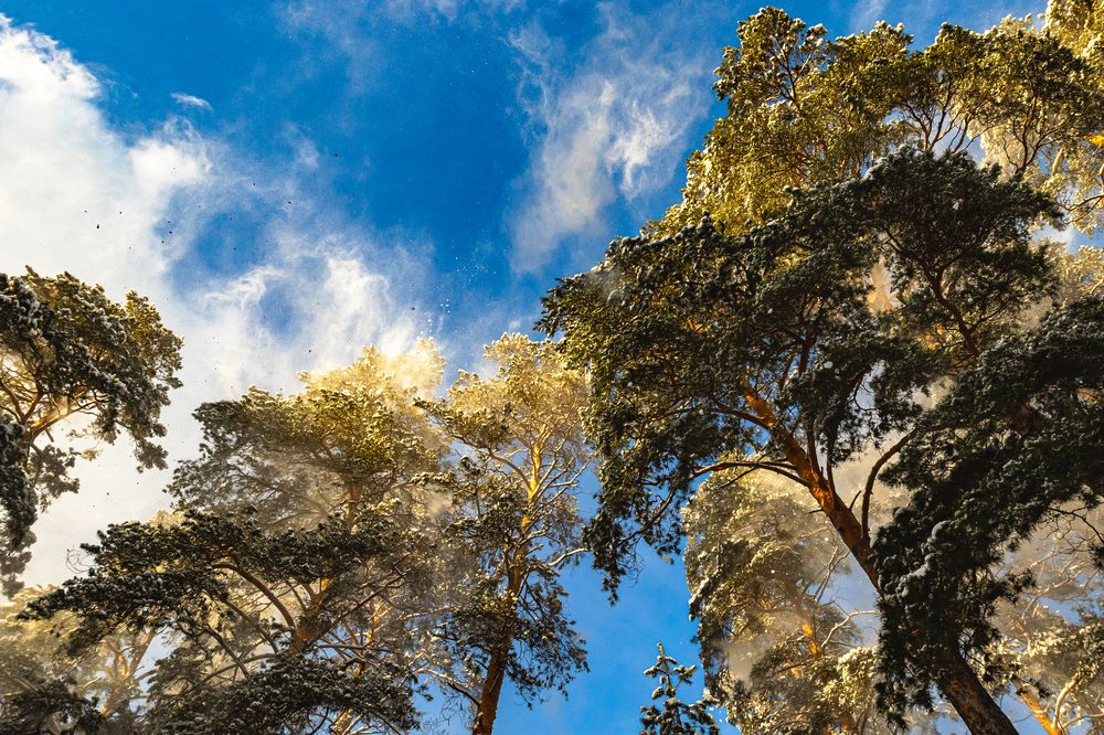 Photograph by Павел Васенин