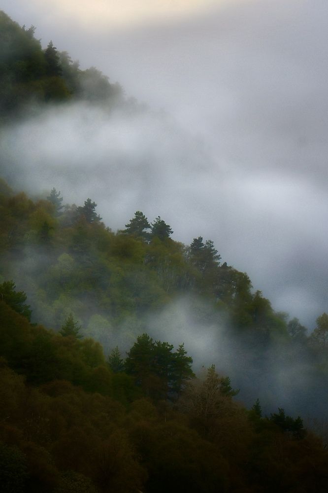 Photograph by Евгения Казакова