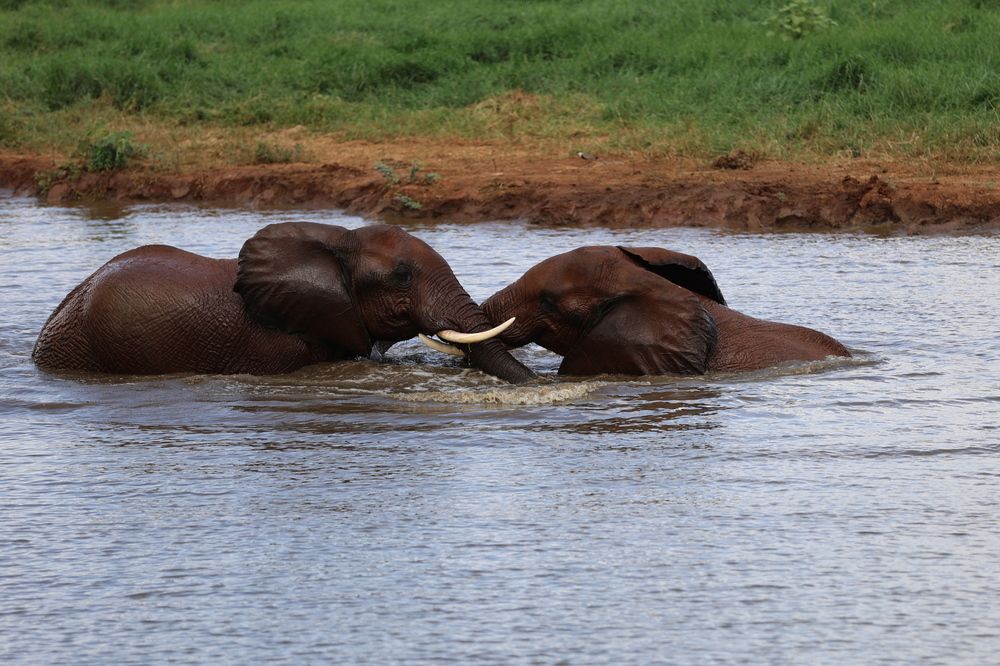 Photograph by Dagmar Vopolková