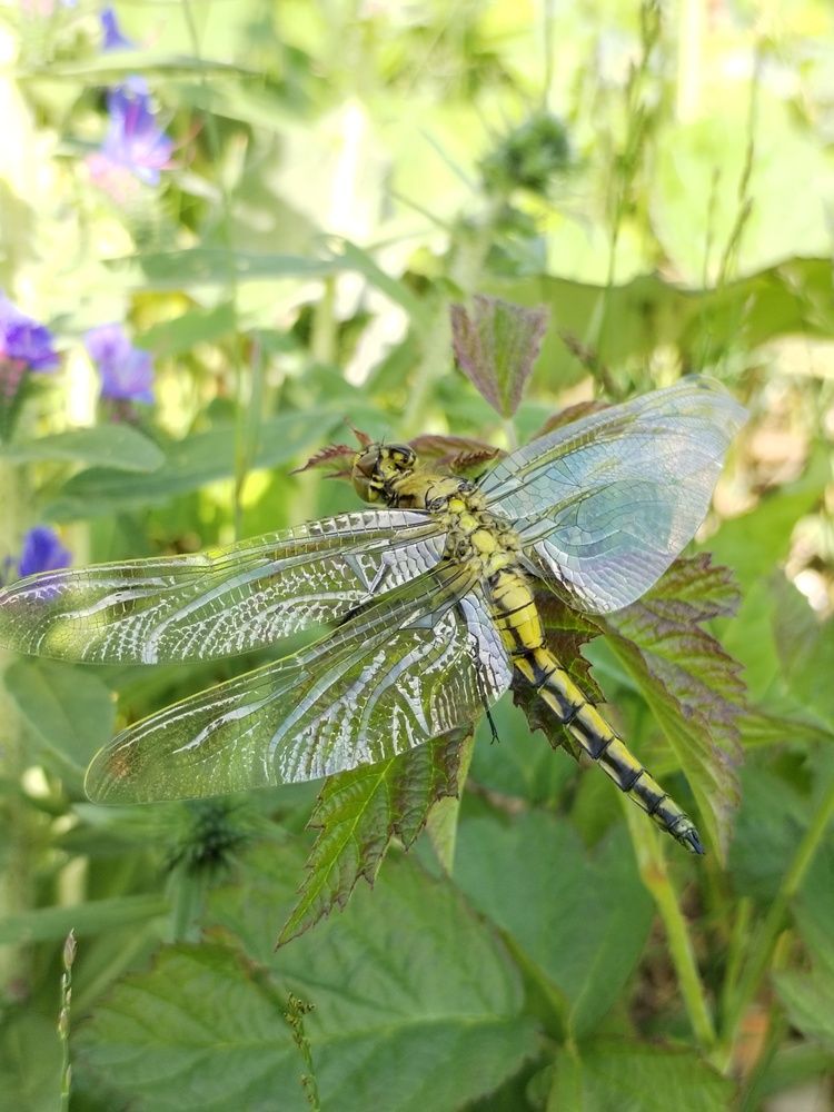 Photograph by Юлия Ю.