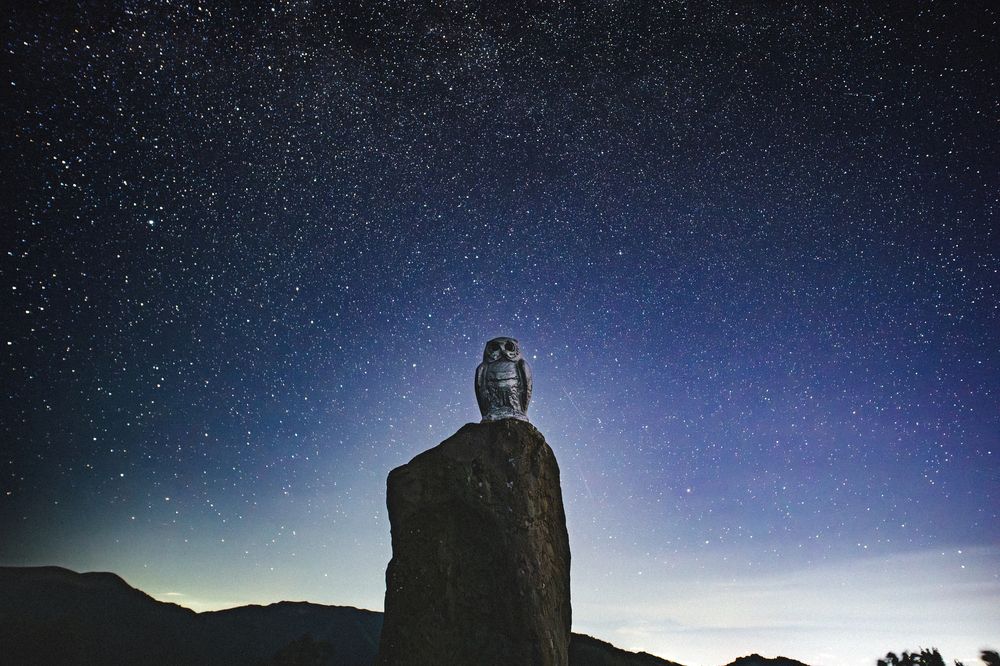 Photograph by TheVanya43