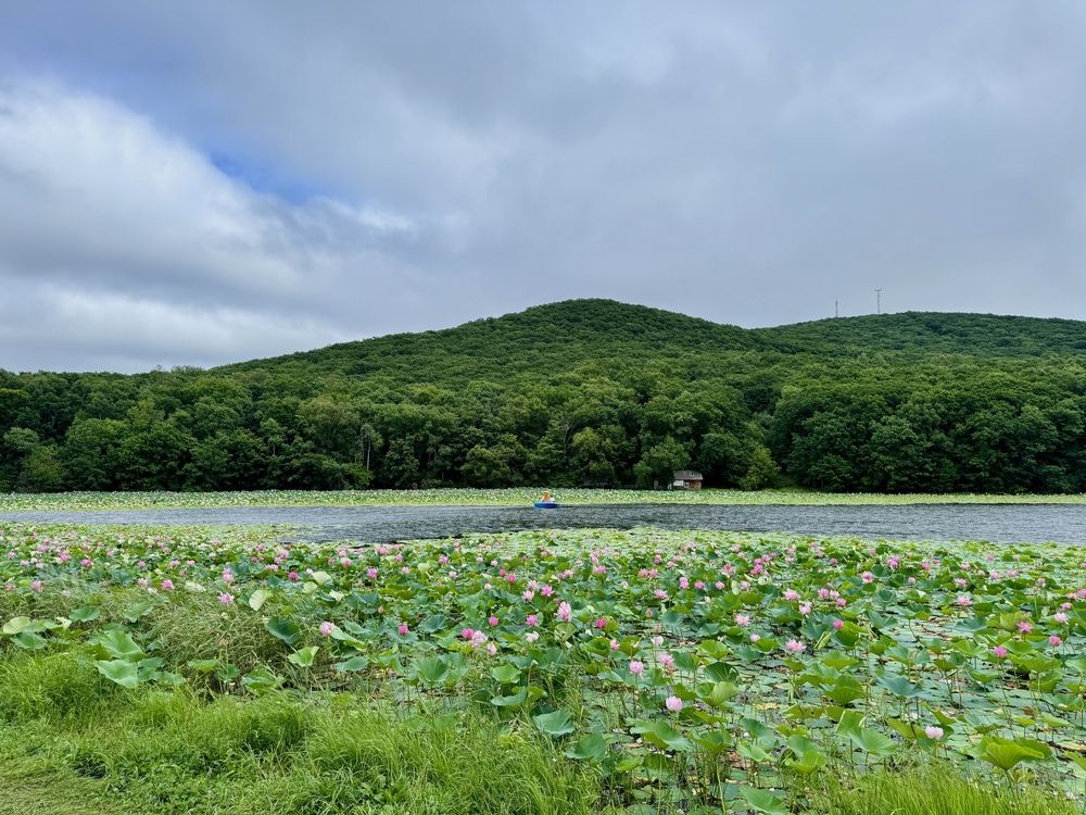 Лотосовое озеро