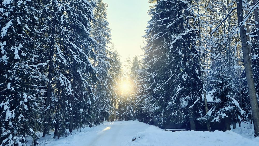 Photograph by Анна Виноходова