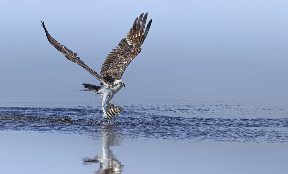 Photograph by Schletter Jackie