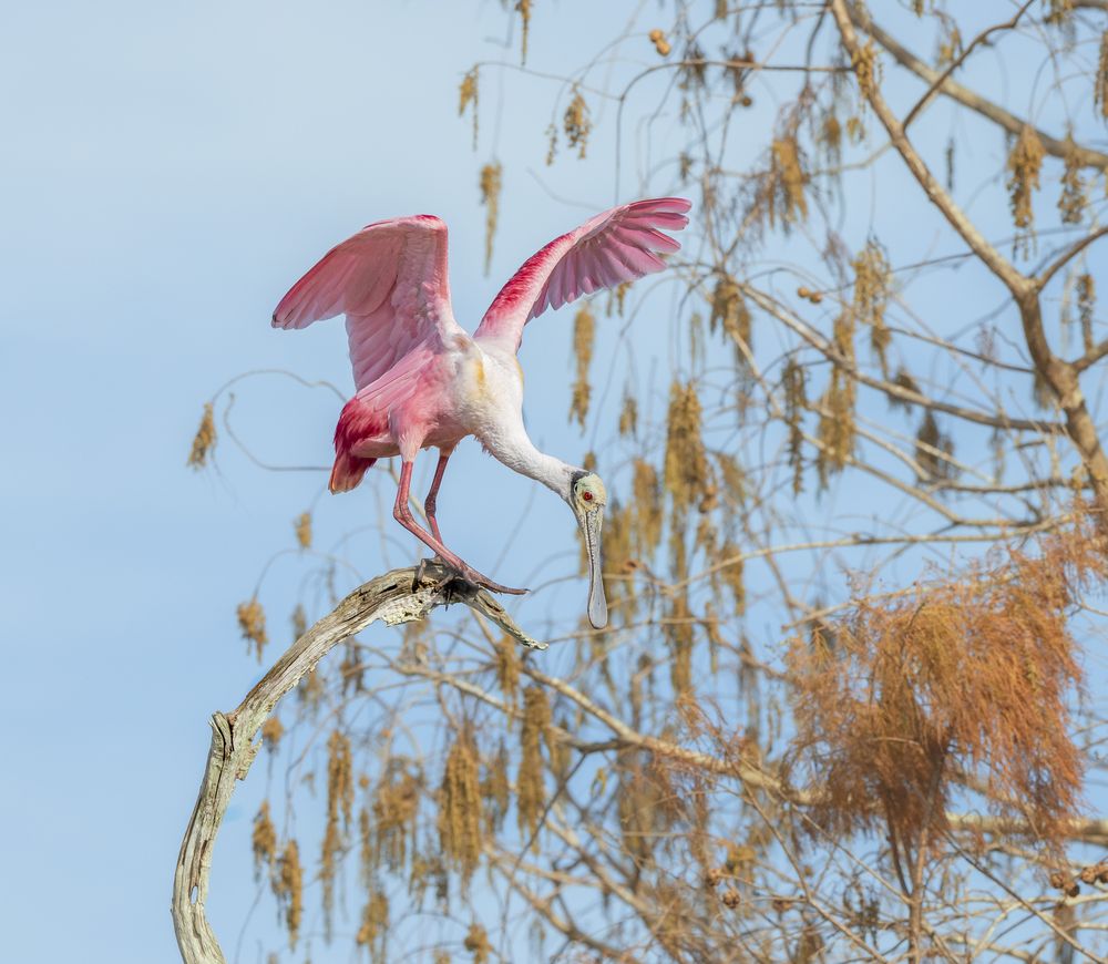 Photograph by Schletter Jackie