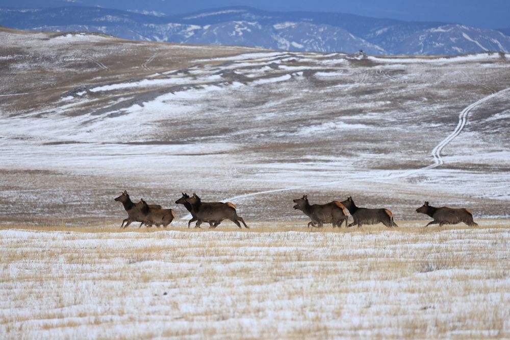 Photograph by Евгения Казакова