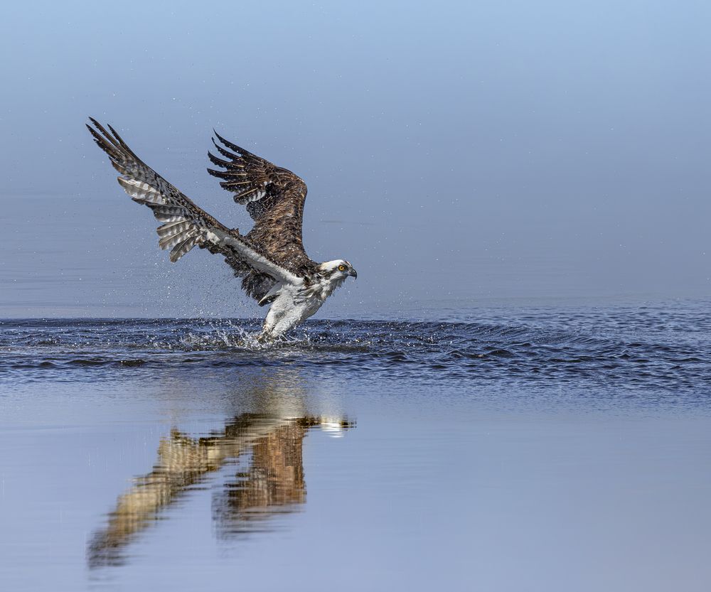 Photograph by Schletter Jackie