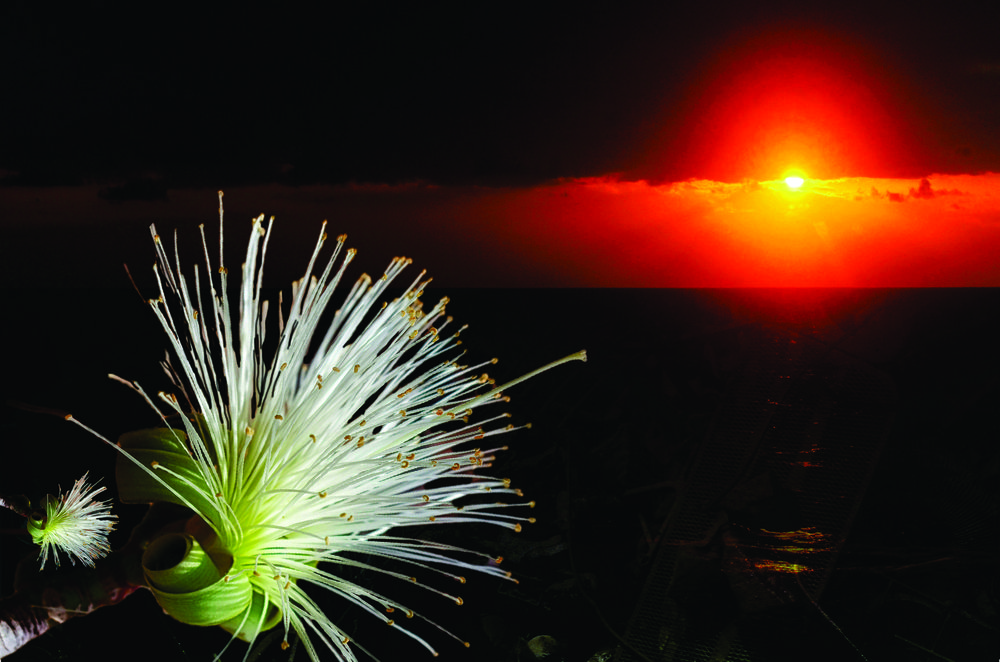 Photograph by CRINALDO REIS