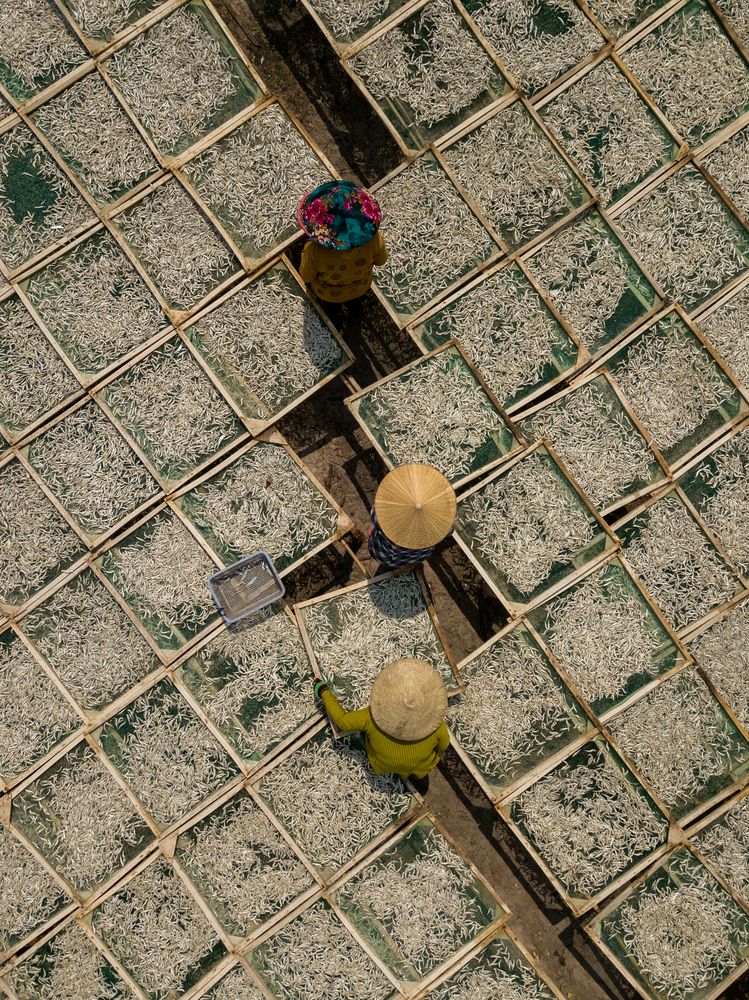 Photograph by Uku Sööt