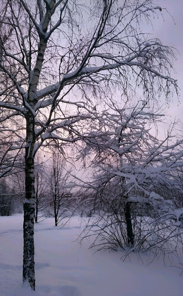 Photograph by Юлия Холомцева