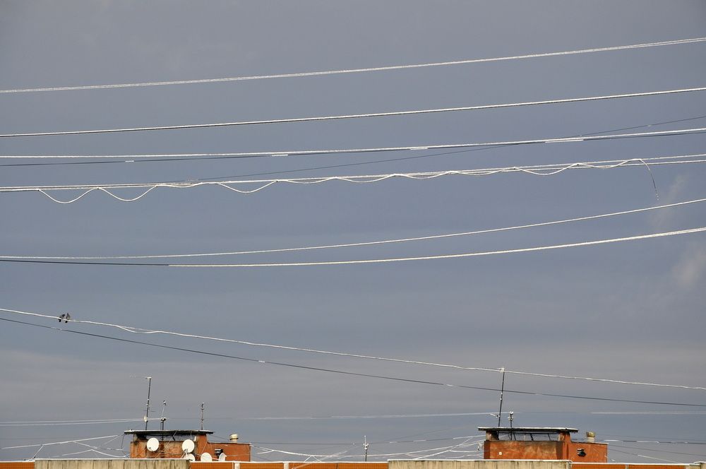 Photograph by Светлана