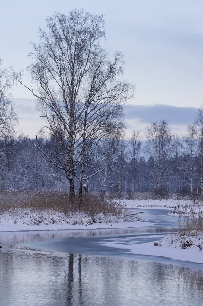 Photograph by Денис