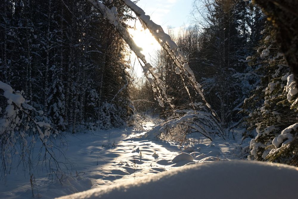 Photograph by Сергей Тимофеев